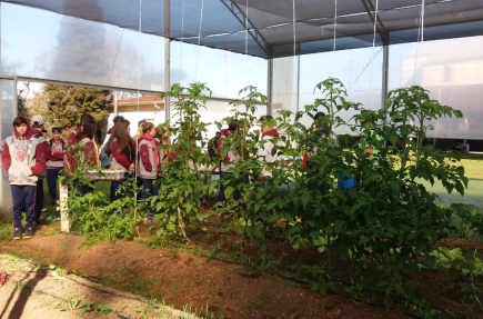Neste ano, a Associao Escola Famlia Agrcola da Serra Gacha foi a nica instituio credenciada.