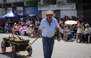 Foto: Andrelise Cavagnoli/Prefeitura