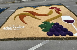 Foto: Andrelise Cavagnoli/PMFC
