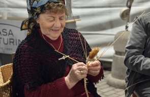 Foto: Andrelise Cavagnoli/PMFC